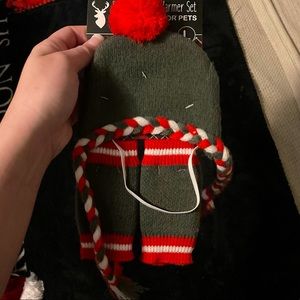 Knit Hat & Leg Warmers for Dogs